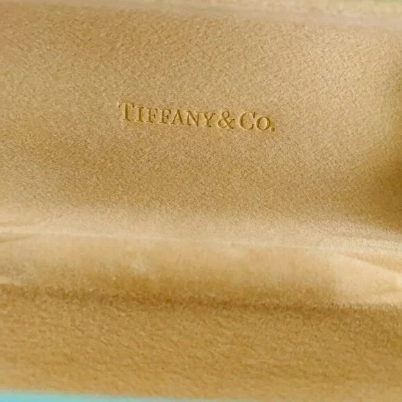 Tiffany & Co. Turquoise Hard Shell Eyeglasses Case​ - Picture 8 of 13